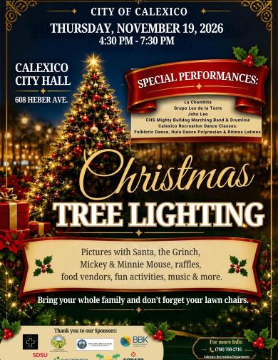 Christmas Tree Lighting Event 2026